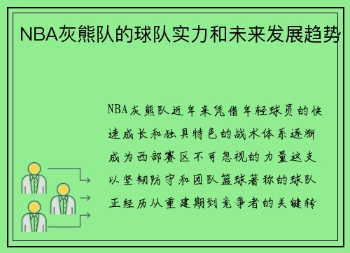 NBA灰熊队的球队实力和未来发展趋势
